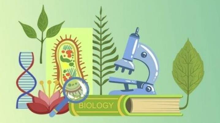Биология 9 класс. Саморазвитие экосистемы. -- смотреть онлайн