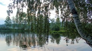 Бежит река  , в тумане тает. Поёт Валентина  Дробышева