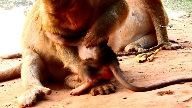 FEELING LOSS MOM ! Extremely Cry Loud Fear Titan Cry Till Red Face Angry Mom Leave Not Care.