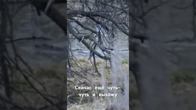 Ах, хорошо! смотреть онлайн
