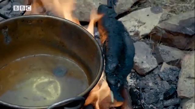 Focus 2 _2nd Edition_ Unit 3 Lesson 1 Video 11 BBC (360p) смотреть онлайн