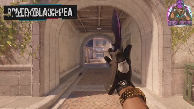 NEW CS2 KUKRI CASE COMING SOON!? (leaks) смотреть онлайн