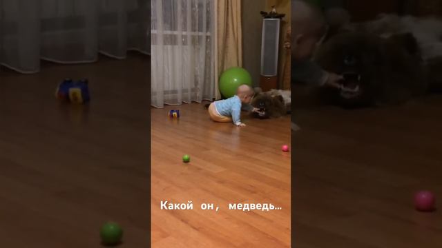 Я буду охотником с года! смотреть онлайн