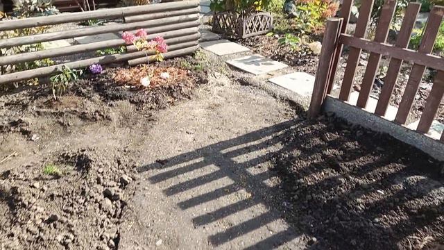 Подарок мужа😊 можжевельник Мейери 🎁🎁🎁 смотреть онлайн