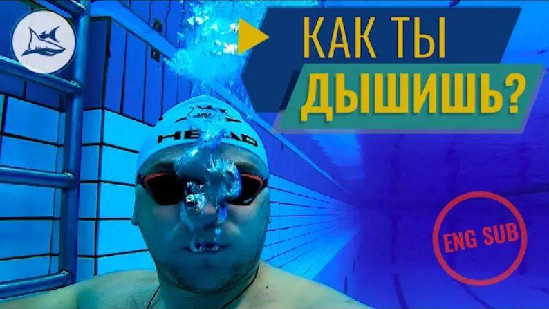 Почему я задыхаюсь при плавании кролем? Дыхание в кроле смотреть онлайн