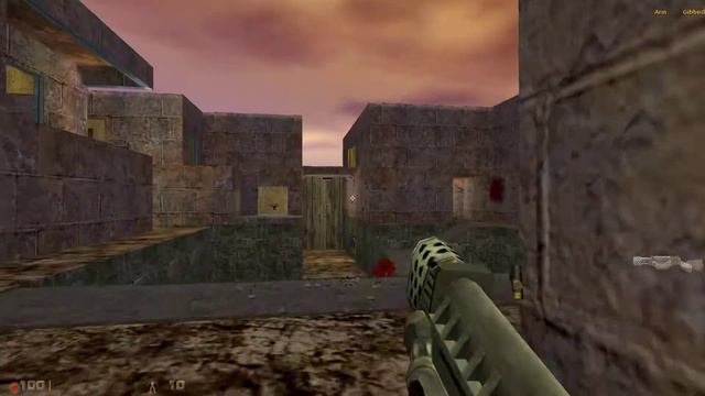 Playing Half-Life Millennium Against Bots On Dm_crossfire