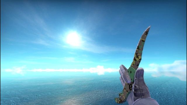 CS:GO Falchion Knife Boreal Forest Showcase