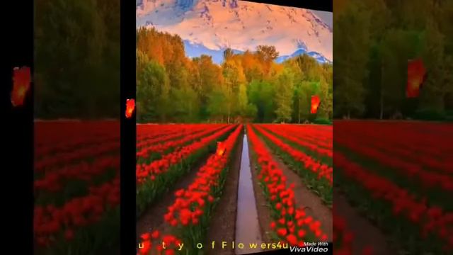 17 марта 2019 г. смотреть онлайн