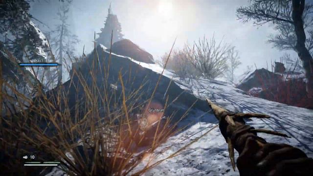 FARCRY Primal 100% Survival EXTREM permanenter Tod Part 04 Karoosh der Krieger смотреть онлайн