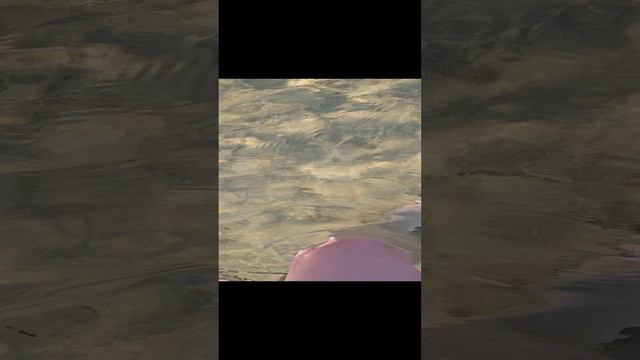 1000278556.mp4 смотреть онлайн