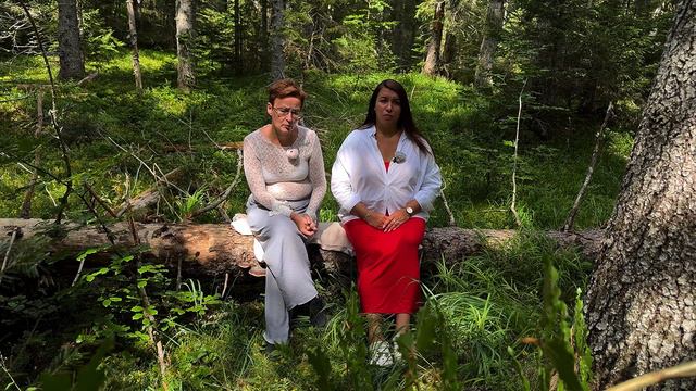 Симптоматика 3 уровня ОНР при моторной алалии. Ребенок говорит много, но с ошибками смотреть онлайн