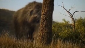 Ученым запрещено говорить об этом! Каким был мир до ядерной войны 19 века