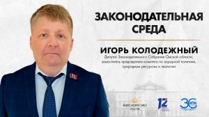 «Законодательная среда». Игорь Колодежный (25.09.24)