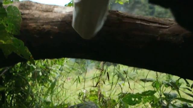 Far Cry Experience 2-12 смотреть онлайн