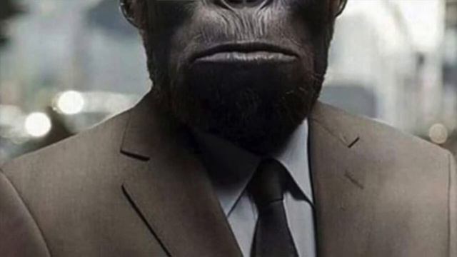 История противоречи хадисов смотреть онлайн