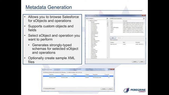 Accelerate Your Salesforce Adoption with Peregrine’s Neuron ESB смотреть онлайн