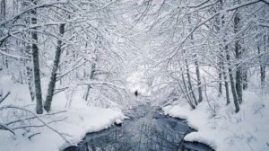 Only Skin - Joanna Newsom (cover by Ruby Adelaide)