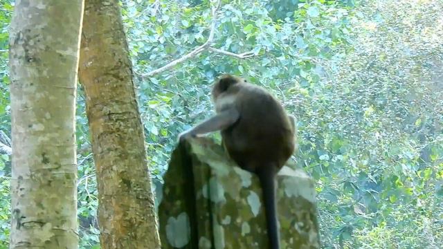 OMG! Poor Baby Maci Cry Scare Call Mom Merry Help Cos King Skippy Feel Toxic During Escape Amber