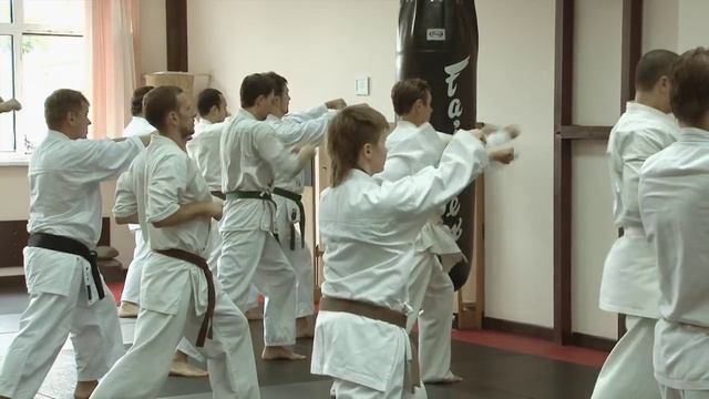 Сайфа говорит: движение и атака