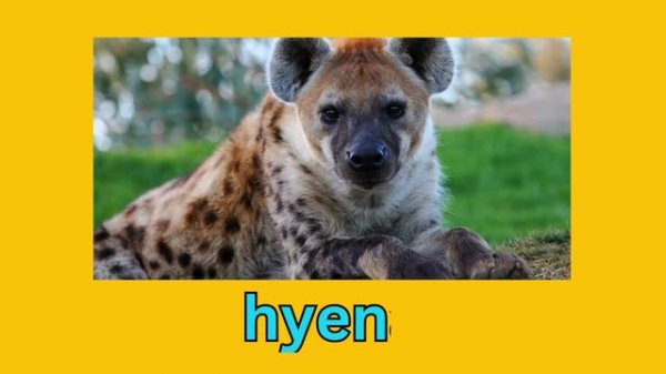 Learn Wild Animals Names For Nursery Preschool Kids Animal Vocabulary In English Jungle Animals