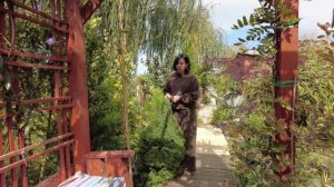 САМЫЙ БОЛЬШОЙ ОБЗОР ЭКЗОТИЧЕСКОГО САДА / Сделала дорожку из дерева в саду / СЕКРЕТЫ УХОДА / Новинки