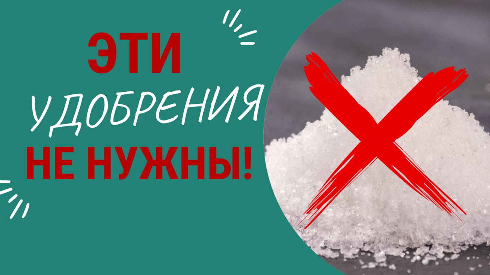 НЕ ВНОСИТЕ эти удобрения осенью! Деньги на ветер и только навредите смотреть онлайн