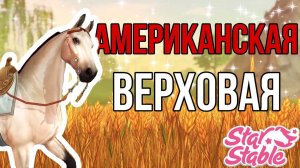ПОКУПАЕМ НОВУЮ ЛОШАДЬ II АМЕРИКАНСКАЯ ВЕРХОВАЯ В Star Stable Online