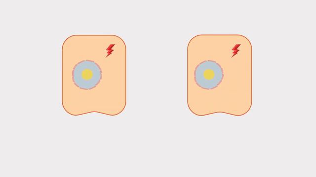 Overview of Cell Senescence смотреть онлайн