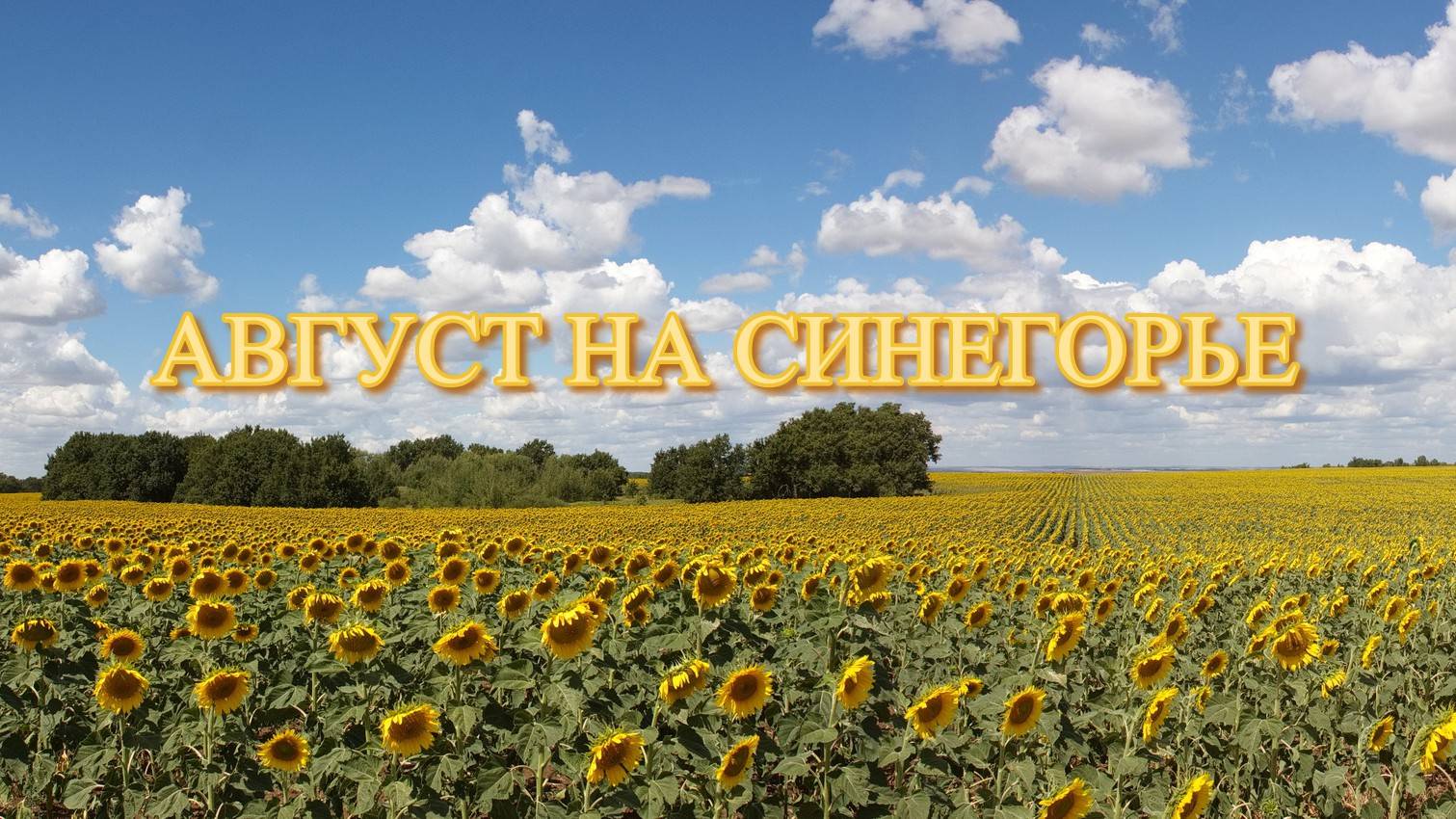 Август на Синегорье смотреть онлайн