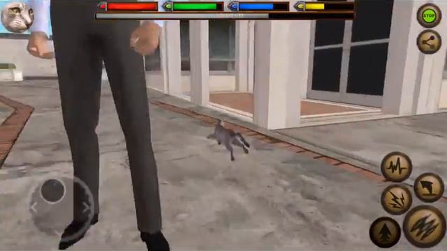 Ultimate cat simulator| wrenpaw's destiny🐈 [ep 2: a cursed cat is freed] смотреть онлайн