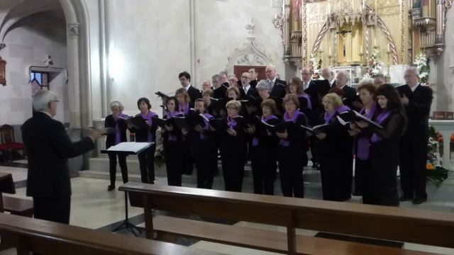 Coral Resonare Fibris - Tu es Petrus - Lorenzo Perosi смотреть онлайн