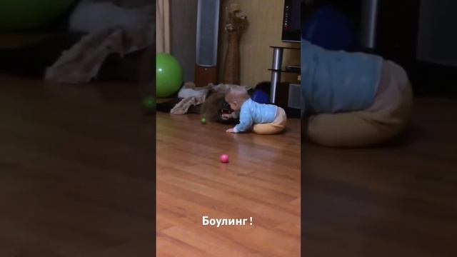 Вы ни за что бы не догадались так сделать… смотреть онлайн