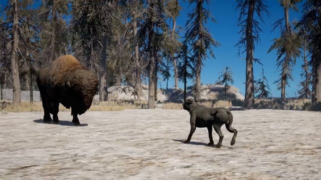 All Animal Attacks on Dogs (Animal Attacks Part 2) Animals VS Dogs - FAR CRY 5 смотреть онлайн