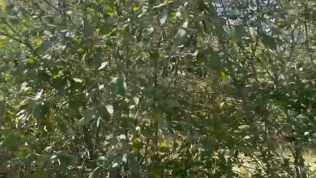 ВИДЕО смотреть онлайн