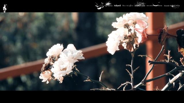 Liquid Dream - Destiny Project (Endlessky Audio) Uplifting Trance смотреть онлайн