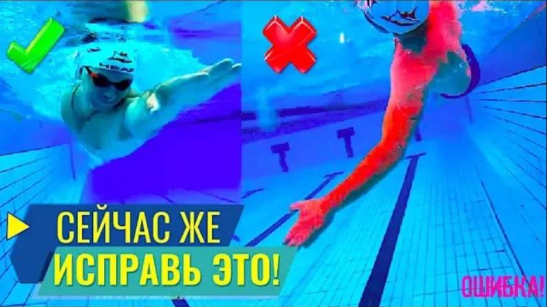 5 вечных ошибок в плавании кролем. Техника плавания кролем смотреть онлайн
