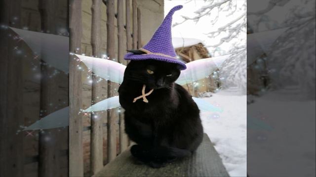 My Destiny смотреть онлайн