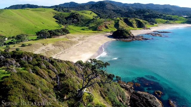 Новая Зеландия смотреть онлайн