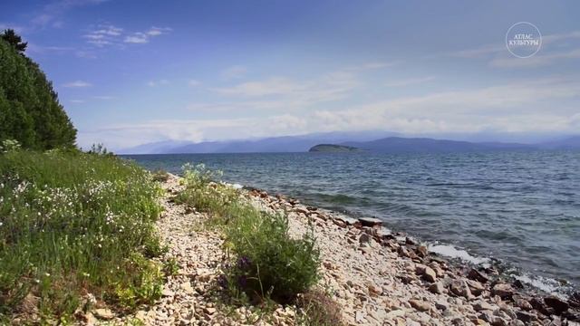 Игорь Козлов