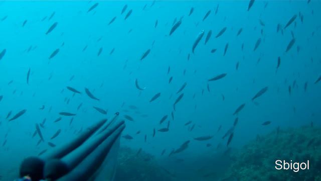 Fine ottobre 2012 смотреть онлайн