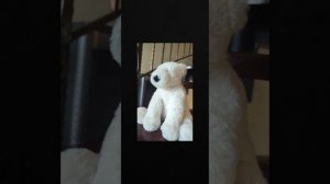 Triage at dawn - Half Life 2 (slowed reverb)