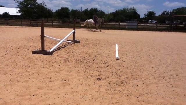 destiny jumping griffen!!! :) смотреть онлайн