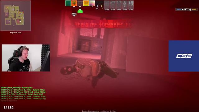 ⚡РАЧЕЛ ДАЛ БЕСПЛАТНЫЙ УРОК  INSILIO ACADEMY!  #rachel #рачел #insilio #cs2 #rachelr