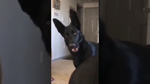 Ты меня снимаешь? смотреть онлайн