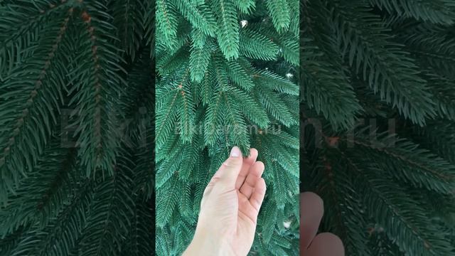 Ель Литая Императорская смотреть онлайн