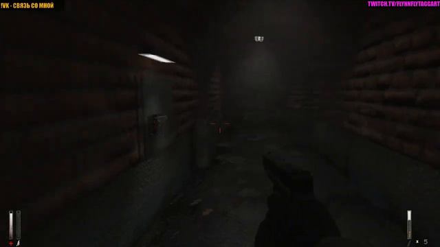 FLYNNFLYTAGGART ИГРАЕТ В CRY OF FEAR (НАРЕЗКА) 11.05.19 #1 смотреть онлайн