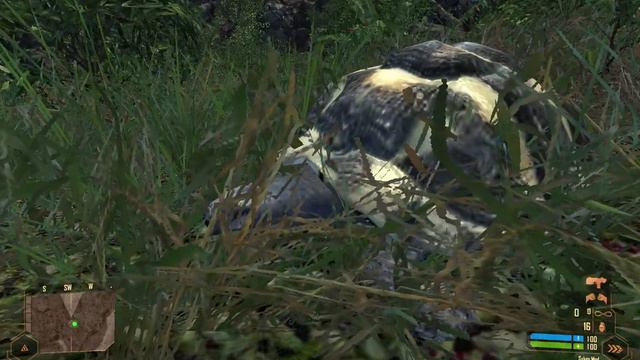 Брат Бруни Crysis 2022 09 05 00 10 28 26 смотреть онлайн