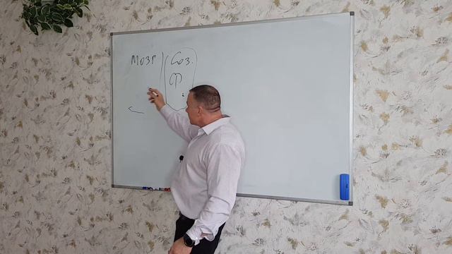 Почему мы обманываемся и что с этим делать смотреть онлайн