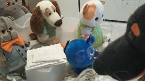 фотосессия в школе басика