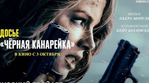 Досье „Чёрная канарейка“ Canary Black
